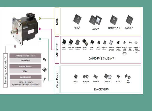 Motor Control 